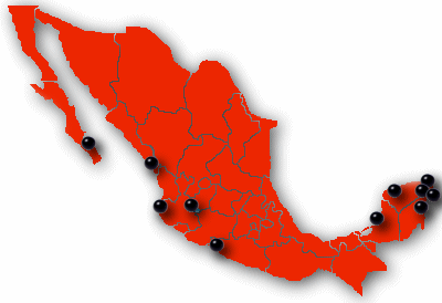 Mexico MLS